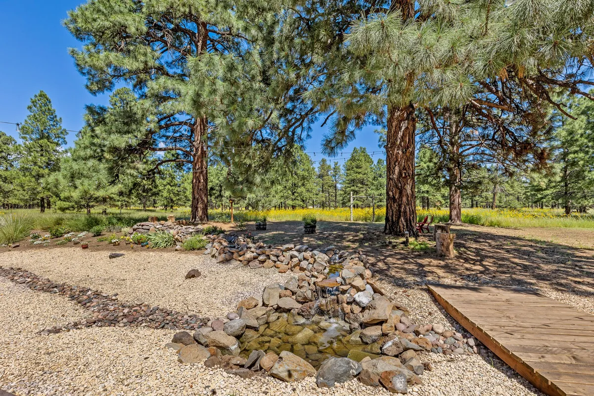 A serene exterior scene featuring a rock water feature, a gravel path, and tall pine trees. The natural landscaping suggests opportunities for nature walks, wildlife watching, and quiet moments of reflection just steps from the home. The image feels immersive and closely connected to the wild surroundings.