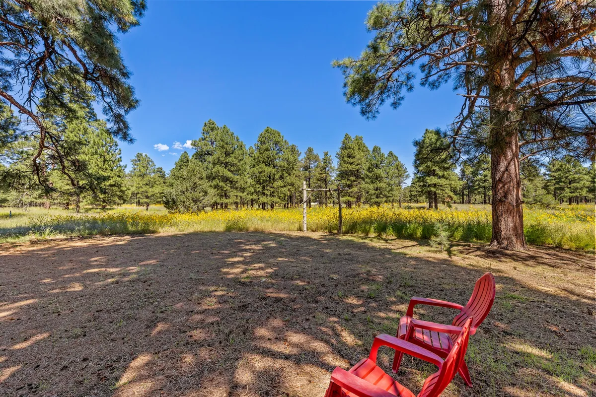 A pair of red chairs are situated on a peaceful lawn, surrounded by lush greenery and distant trees. The setting offers open views for sunset-watching, reading, or stargazing, encapsulating moments of quiet reflection in nature.